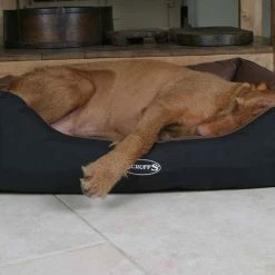 Scruffs Hondenmand Expedition Chocolate -Hond winkel image 5420