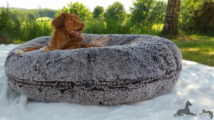 Bessie And Barnie Hondenmand Bagel Frosted Willow 3 Bessie And Barnie Hondenmand Bagel Frosted Willow