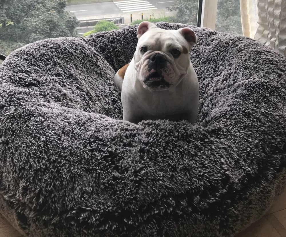 Bessie And Barnie Hondenmand Bagel Frosted Willow 5 Bessie And Barnie Hondenmand Bagel Frosted Willow - Afbeelding 3