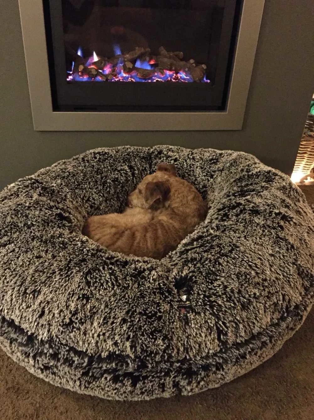 Bessie And Barnie Hondenmand Bagel Frosted Willow 6 Bessie And Barnie Hondenmand Bagel Frosted Willow - Afbeelding 4