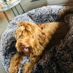 Bessie And Barnie Hondenmand Bagel Frosted Willow 16 Bessie And Barnie Hondenmand Bagel Frosted Willow -Hond winkel image 5474