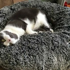 Bessie And Barnie Hondenmand Bagel Frosted Willow 19 Bessie And Barnie Hondenmand Bagel Frosted Willow -Hond winkel image 5477