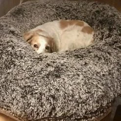 Bessie And Barnie Hondenmand Bagel Frosted Willow 21 Bessie And Barnie Hondenmand Bagel Frosted Willow -Hond winkel image 5479