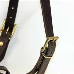 Aqua Coolkeeper Koel Jas Hond Pacific Blue -Hond winkel image 55