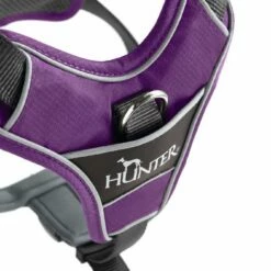 Hunter Hondentuig Divo Paars -Hond winkel image 552