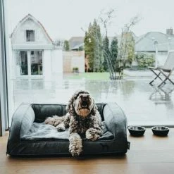 Hunter Orthopedische Hondenmand Livingstone -Hond winkel image 5562