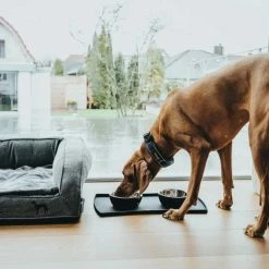 Hunter Orthopedische Hondenmand Livingstone -Hond winkel image 5563