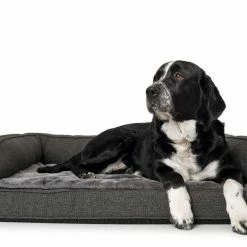 Hunter Orthopedische Hondenmand Livingstone -Hond winkel image 5566