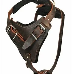 Aqua Coolkeeper Koel Jas Hond Pacific Blue -Hond winkel image 56