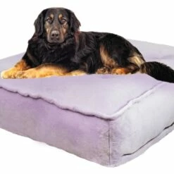 Bessie And Barnie Hondenkussen Rectangle Lilac -Hond winkel image 5626