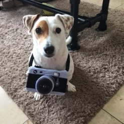 P.L.A.Y. Hondenspeelgoed Globetrotter - Camera -Hond winkel image 565