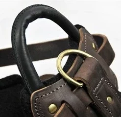 Aqua Coolkeeper Koel Jas Hond Pacific Blue -Hond winkel image 57