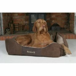 Scruffs Hondenmand Chester Chocolate -Hond winkel image 5702