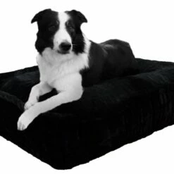 Bessie And Barnie Hondenkussen Rectangle Short Shag Black Panther -Hond winkel image 5762