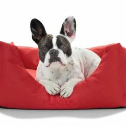 Hunter Hondenmand Gent Rood