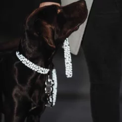 Hunter Hondenriem Convenience Reflect Leopard -Hond winkel image 578