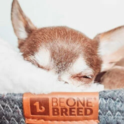 BeOneBreed Hondenmand Pet Cuddler 7 BeOneBreed Hondenmand Pet Cuddler -Hond winkel image 5794