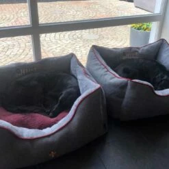 Hunter Hondenmand University Grijs -Hond winkel image 5854