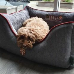 Hunter Hondenmand University Grijs -Hond winkel image 5855