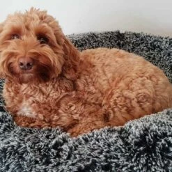 Bessie And Barnie Hondenmand Bagel Midnight Frost -Hond winkel image 5879