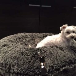 Bessie And Barnie Hondenmand Bagel Midnight Frost -Hond winkel image 5880