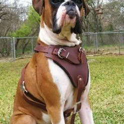 Aqua Coolkeeper Koel Jas Roses