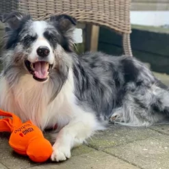 Kong Hondenspeelgoed Wubba Wet 7 Kong Hondenspeelgoed Wubba Wet -Hond winkel image 5976