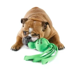 Kong Hondenspeelgoed Wubba Wet 8 Kong Hondenspeelgoed Wubba Wet -Hond winkel image 5977