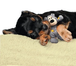 Kong Hondenspeelgoed Wild Knots Bears 5 Kong Hondenspeelgoed Wild Knots Bears - Afbeelding 3