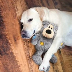 Kong Hondenspeelgoed Wild Knots Bears 13 Kong Hondenspeelgoed Wild Knots Bears -Hond winkel image 5985