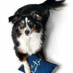 Hunter Hondenspeelgoed Corby -Hond winkel image 6006