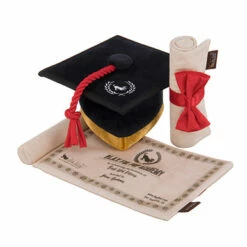 P.L.A.Y. Hondenspeelgoed Back To School - Graduation Hat & Scroll