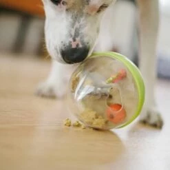 P.L.A.Y. Hondenspeelgoed Wobble Ball Groen 6 P.L.A.Y. Hondenspeelgoed Wobble Ball Groen -Hond winkel image 6033