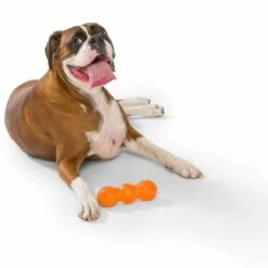 West Paw Design Hondenspeelgoed Zogoflex Rumpus Oranje