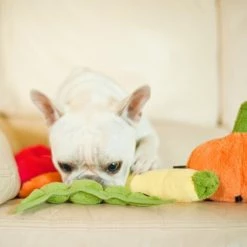 P.L.A.Y. Hondenspeelgoed Garden Fresh - Pumpkin -Hond winkel image 6058
