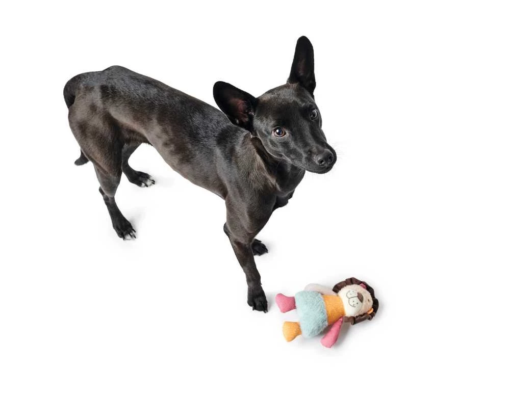 Hunter Hondenspeelgoed Muli 7 Hunter Hondenspeelgoed Muli - Afbeelding 5