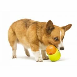 West Paw Design Hondenspeelgoed Zogoflex Toppl Lime