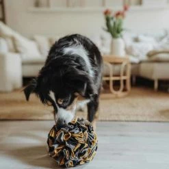 Hunter Gerecycled Hondenspeelgoed Eiby -Hond winkel image 6099