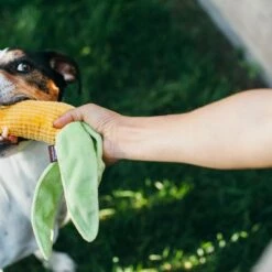 P.L.A.Y. Hondenspeelgoed Farm Fresh - Corn -Hond winkel image 6111