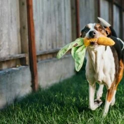 P.L.A.Y. Hondenspeelgoed Farm Fresh - Corn -Hond winkel image 6112