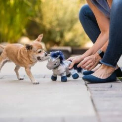 P.L.A.Y. Hondenspeelgoed Willow's Mythical - Unicorn -Hond winkel image 6142