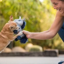 P.L.A.Y. Hondenspeelgoed Willow's Mythical - Unicorn -Hond winkel image 6144