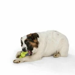 West Paw Design Hondenspeelgoed Zogoflex Rumpus Groen