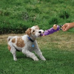 Kong Hondenspeelgoed Tugger Knots -Hond winkel image 6153