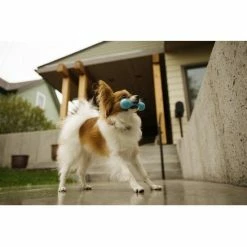 West Paw Design Hondenspeelgoed Zogoflex Hurley Aqua -Hond winkel image 6199