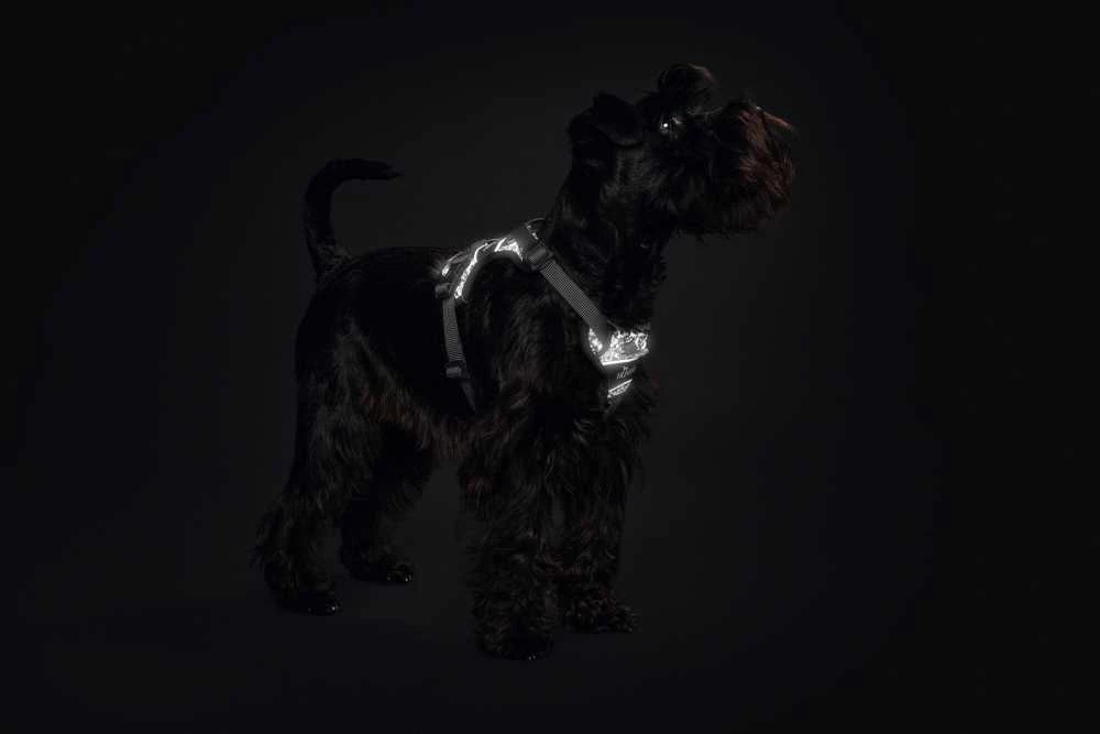 Hunter Hondentuig Divo Reflect Zwart 7 Hunter Hondentuig Divo Reflect Zwart - Afbeelding 5