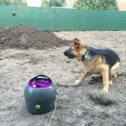 Petsafe Automatische Ballenwerper