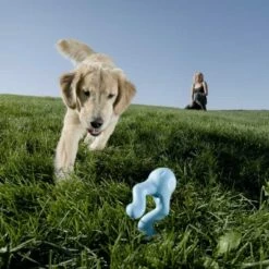 West Paw Design Hondenspeelgoed Zogoflex Tizzi Aqua