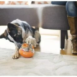 P.L.A.Y. Hondenspeelgoed Wobble Ball Oranje -Hond winkel image 6266