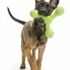 West Paw Design Hondenspeelgoed Echo Skamp Groen -Hond winkel image 6273